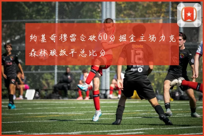 约基奇穆雷合砍60分掘金主场力克森林狼扳平总比分