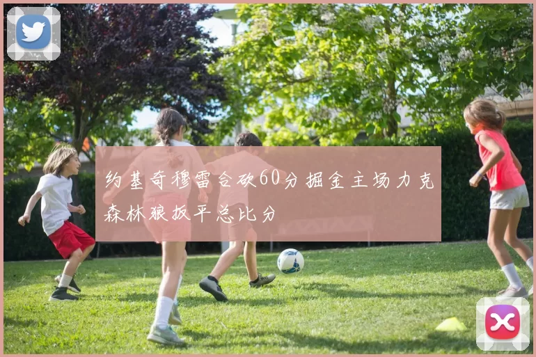 约基奇穆雷合砍60分掘金主场力克森林狼扳平总比分